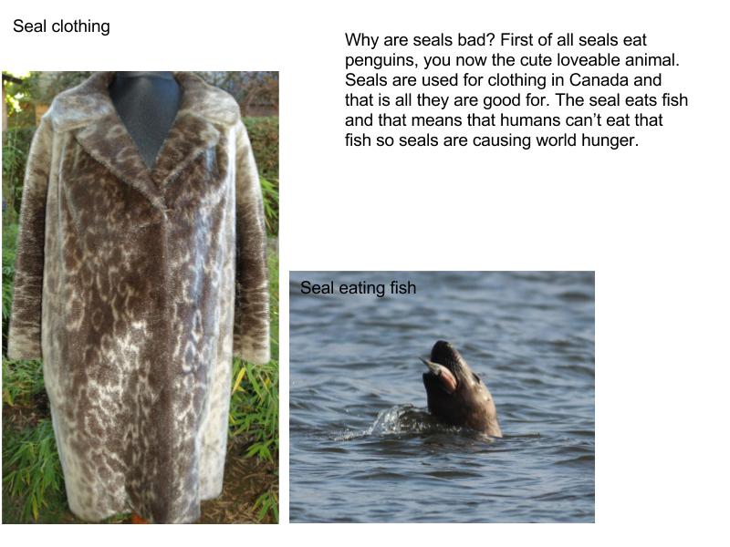 Seals (1).jpg
